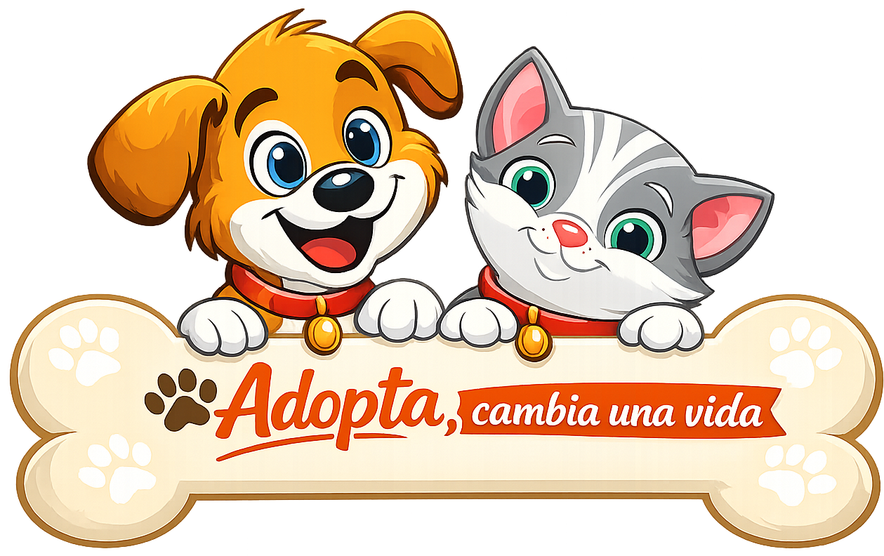 megafono de anuncios