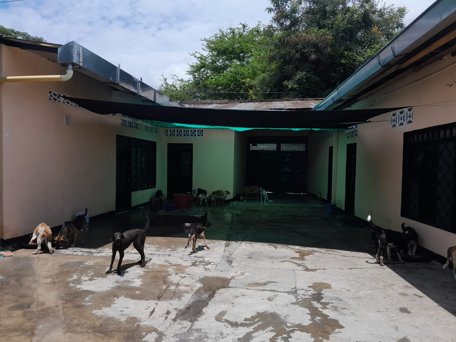 refugio