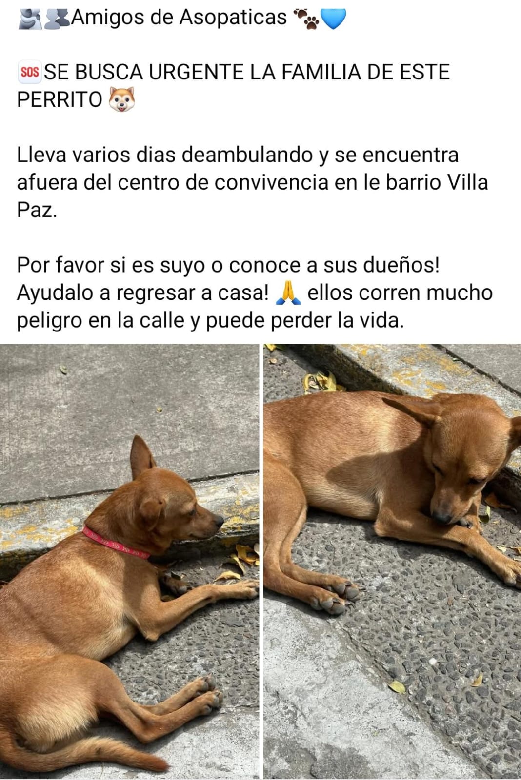 Imagen de la noticia